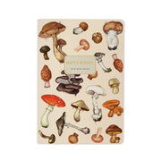 Small Mushrooms on White Notebook