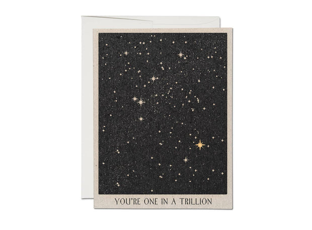 One in a Trillion Friend Greeting Card