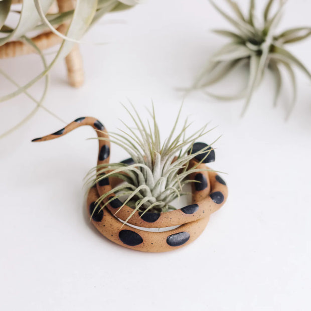 Medium Ceramic Snake -  Sammy