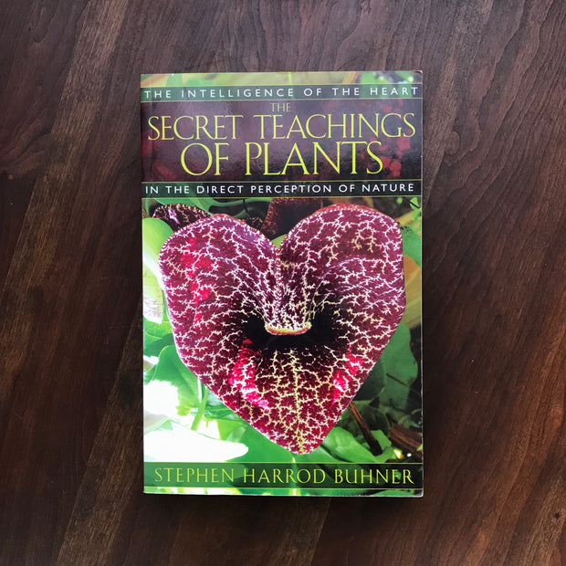 The Secret Teachings of Plants: The Intelligence of the Heart in the Direct Perception of Nature by Stephen Harrod Buhner